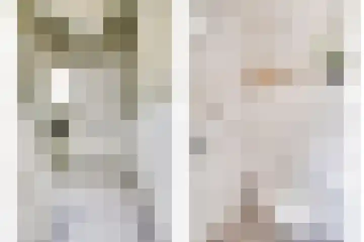 Ernst Casimirstraat 4 Sneek thumbnail 6