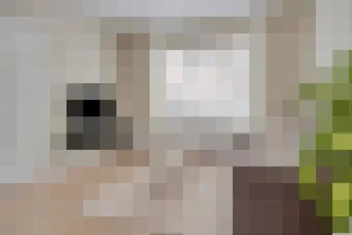 Ernst Casimirstraat 4 Sneek thumbnail 8