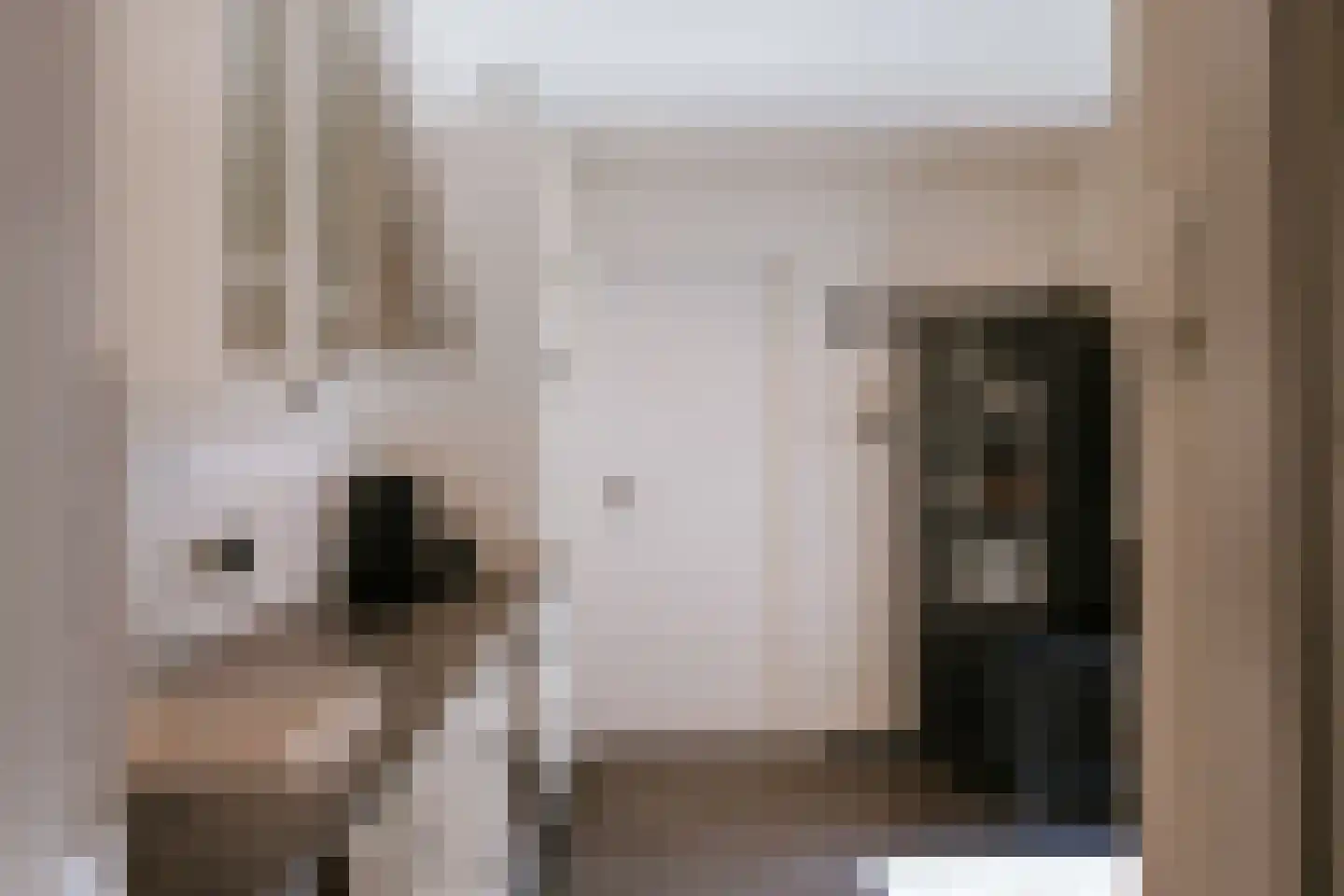 Ernst Casimirstraat 5 Roermond thumbnail 4