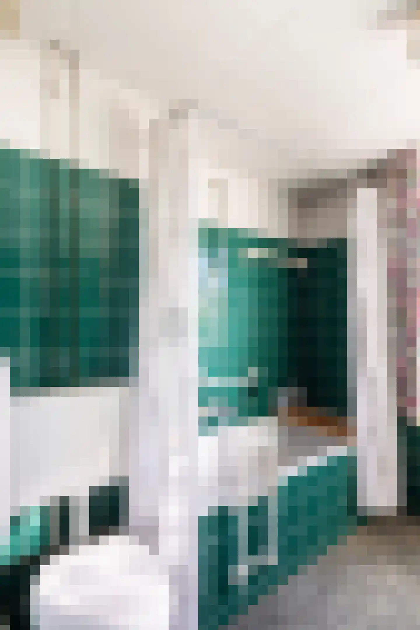 Ernst Casimirstraat 65 Vlaardingen thumbnail 32