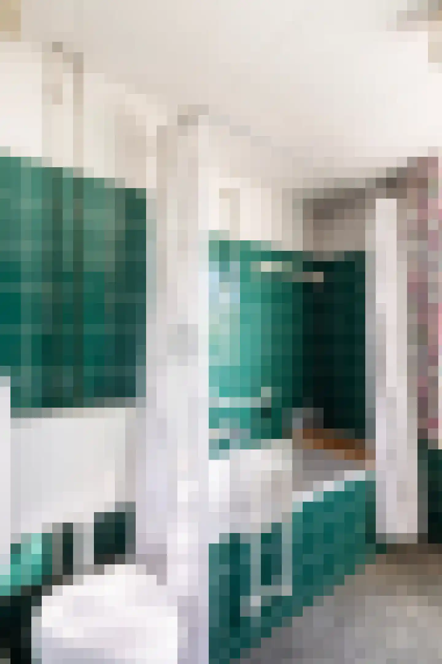 Ernst Casimirstraat 65 Vlaardingen thumbnail 32