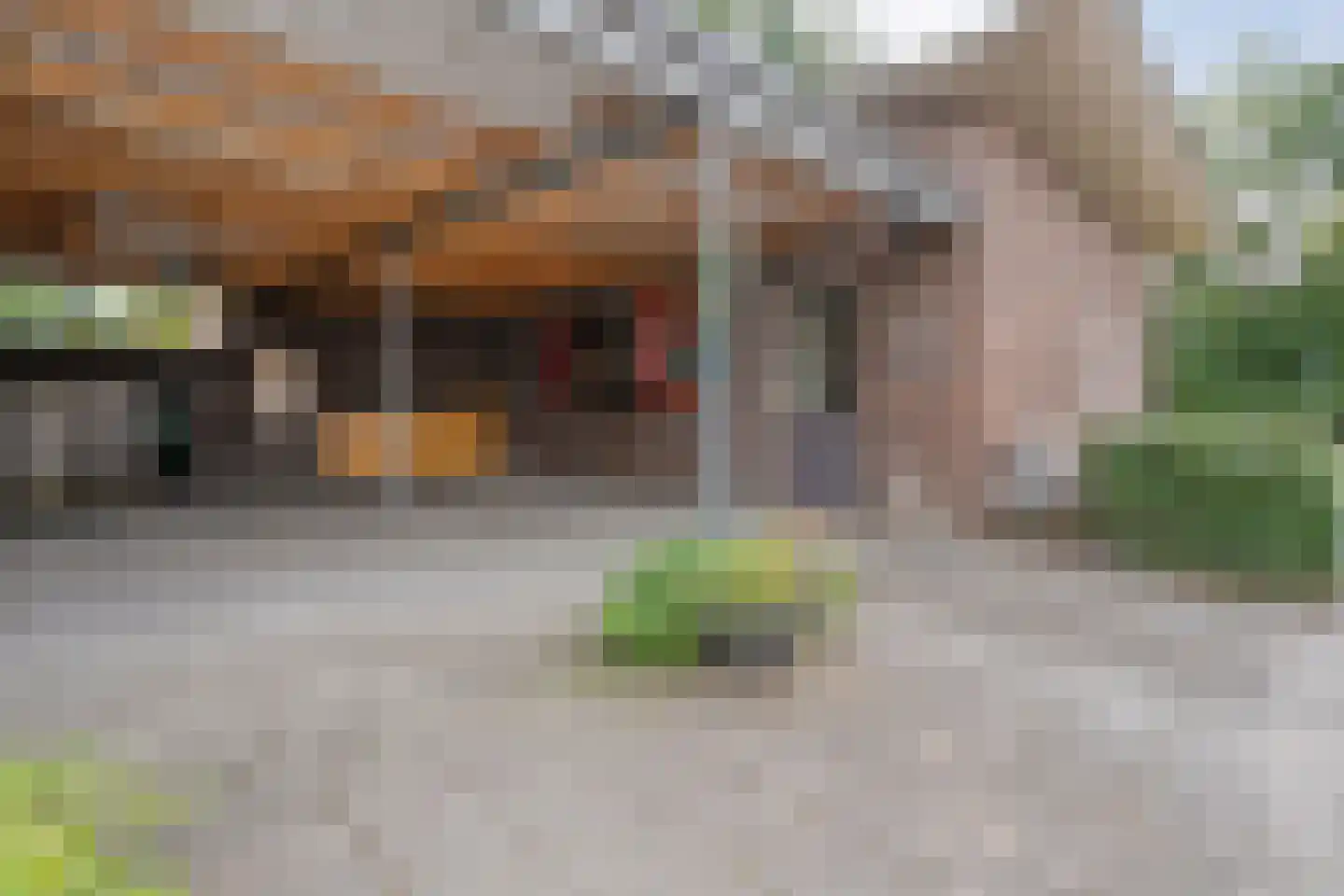 Ernst Casimirstraat 7 Wezep thumbnail 21