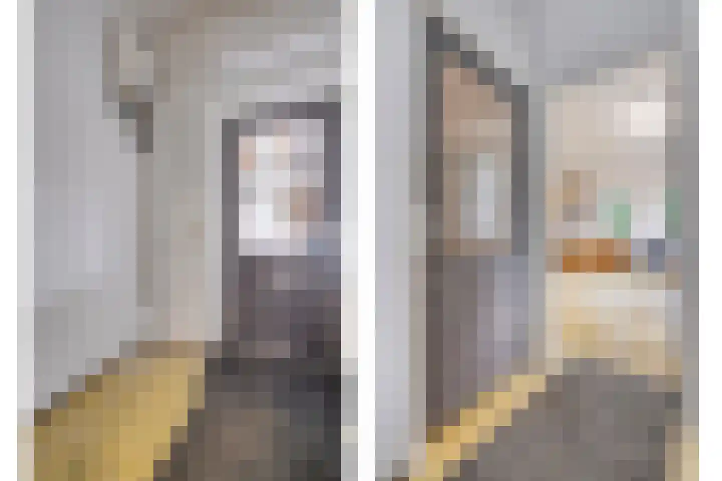 Ernst Casimirstraat 7 Wezep thumbnail 22