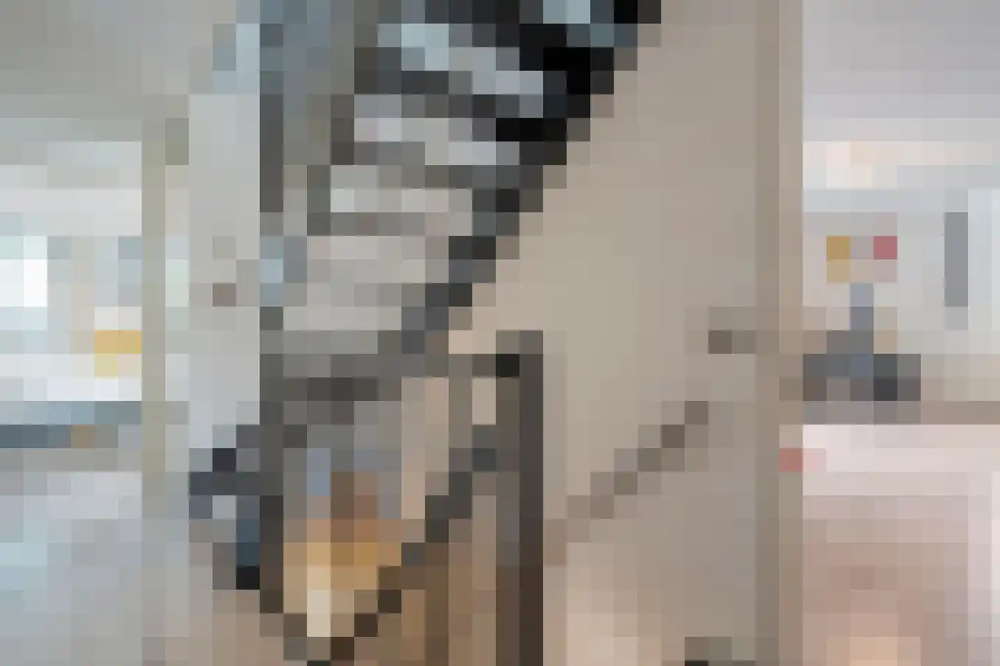Ernst Casimirstraat 7 Wezep thumbnail 34