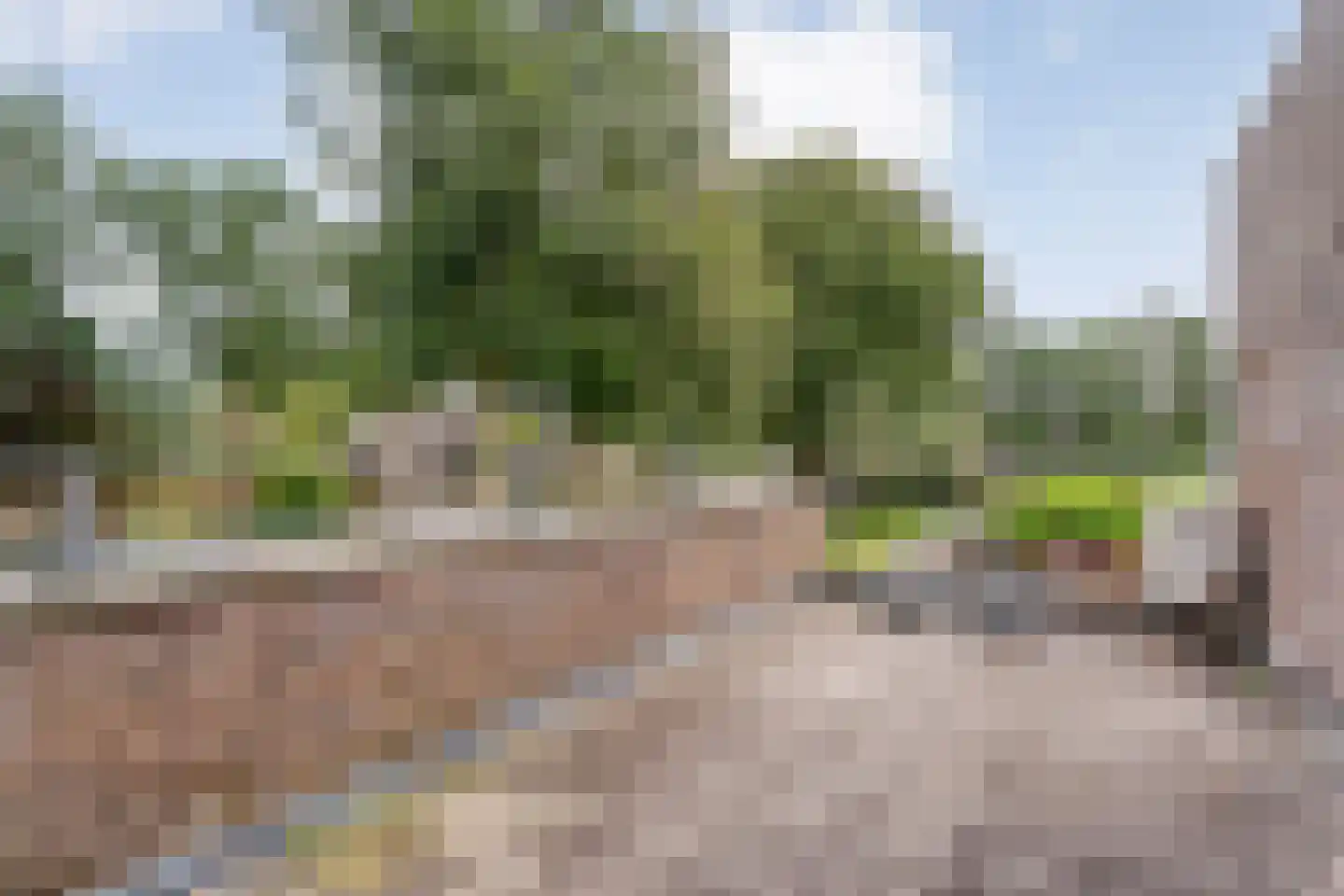 Ernst Casimirstraat 7 Wezep thumbnail 37