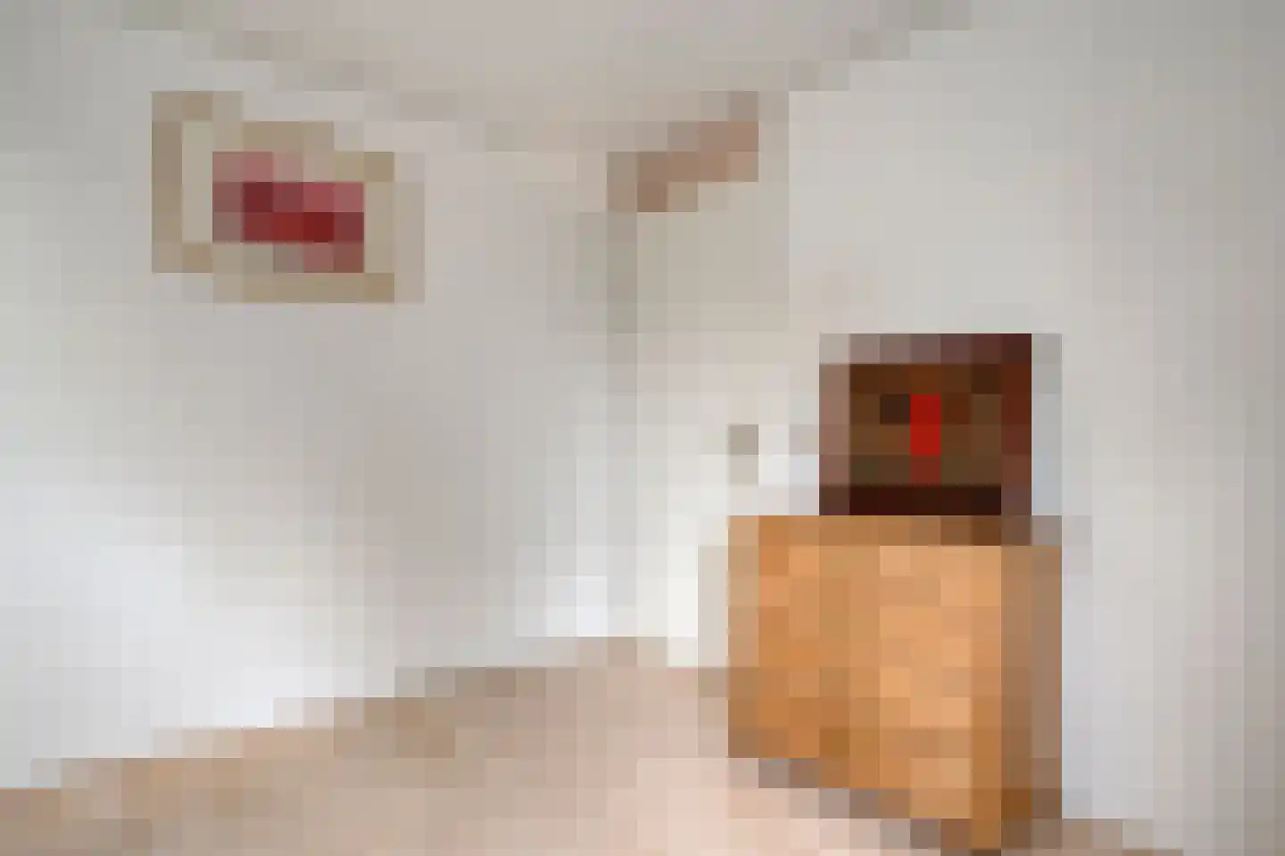 Ernst Casimirstraat 7 Wezep thumbnail 43