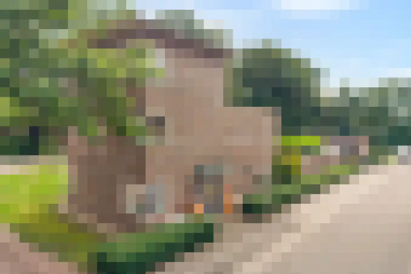 Ernst Casimirstraat 7 Wezep thumbnail 5