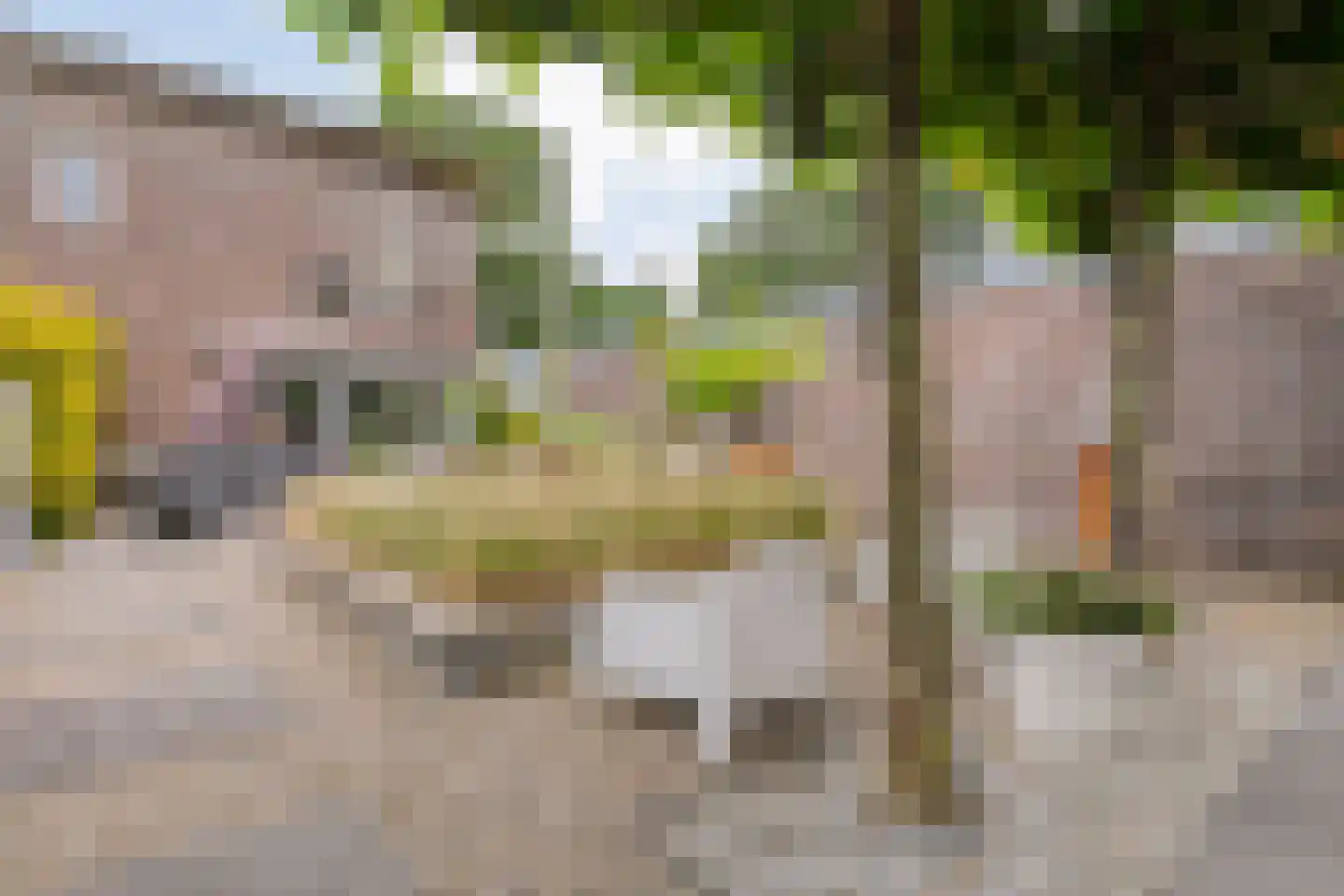 Ernst Casimirstraat 7 Wezep thumbnail 60
