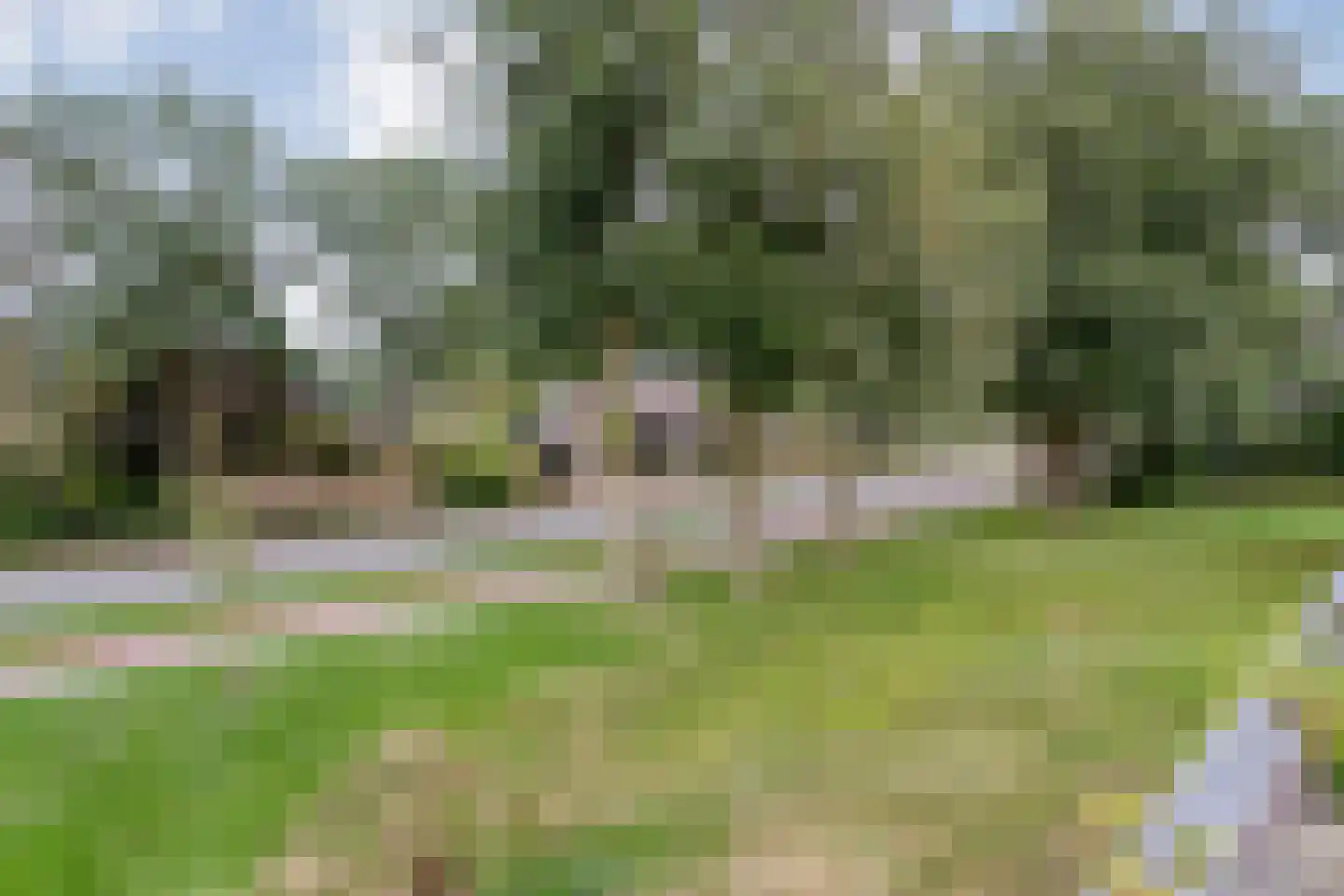 Ernst Casimirstraat 7 Wezep thumbnail 62