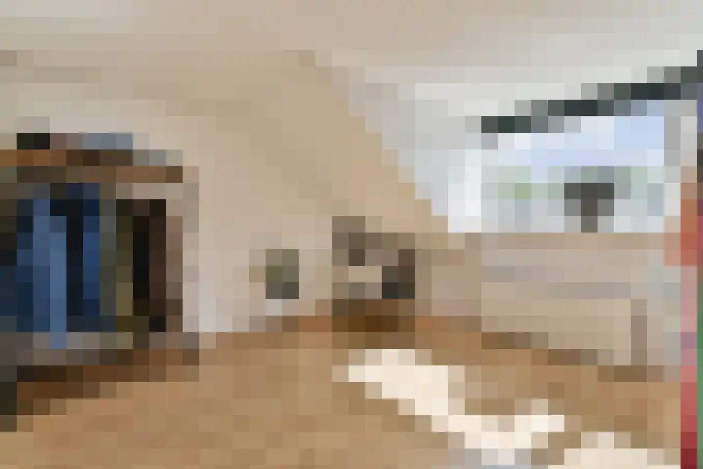 Ernst Casimirstraat 76 Vlaardingen thumbnail 24