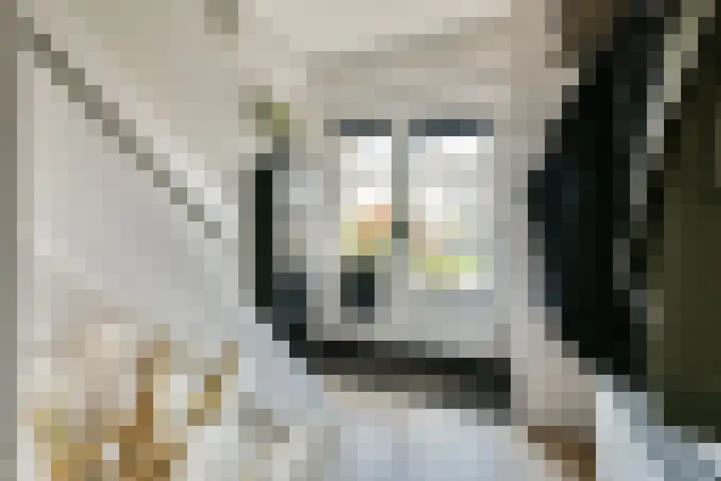 Ernst Casimirstraat 76 Vlaardingen thumbnail 6