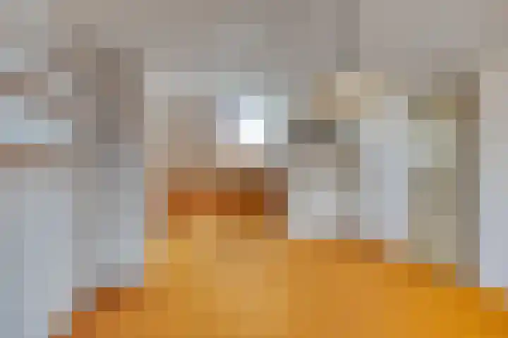Ernst Casimirstraat 9 Zoetermeer thumbnail 27
