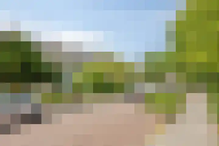 Ernst Casimirstraat 9 Zoetermeer thumbnail 34