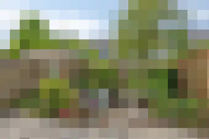 Ernst Casimirstraat 9 Zoetermeer thumbnail 4