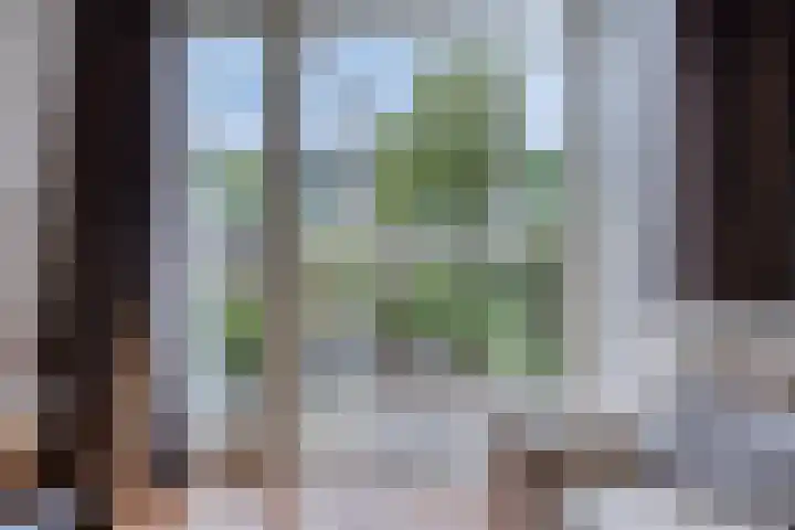 Ernst Casimirstraat 9 Zoetermeer thumbnail 9