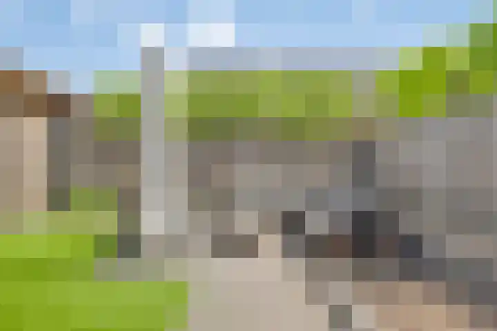 Ernst en Luim 1 Haarsteeg thumbnail 14
