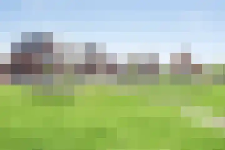 Ernst en Luim 1 Haarsteeg thumbnail 29