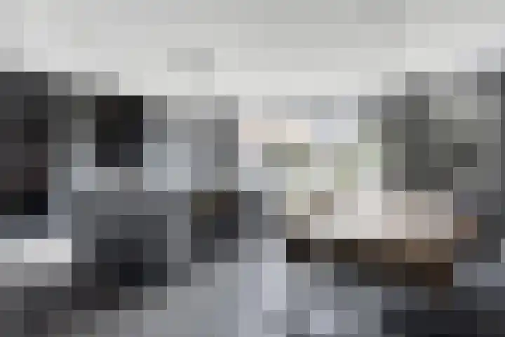 Ernst en Luim 1 Haarsteeg thumbnail 5