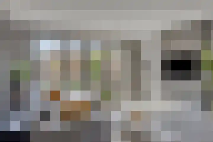 Ernst Ruskaveld 17 's-Hertogenbosch thumbnail 10