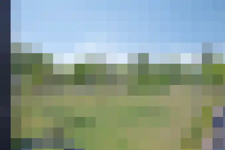 Ernst Ruskaveld 17 's-Hertogenbosch thumbnail 19