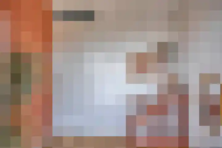 Ernst Ruskaveld 17 's-Hertogenbosch thumbnail 30