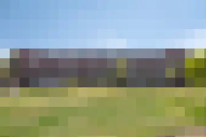 Ernst Ruskaveld 17 's-Hertogenbosch thumbnail 31