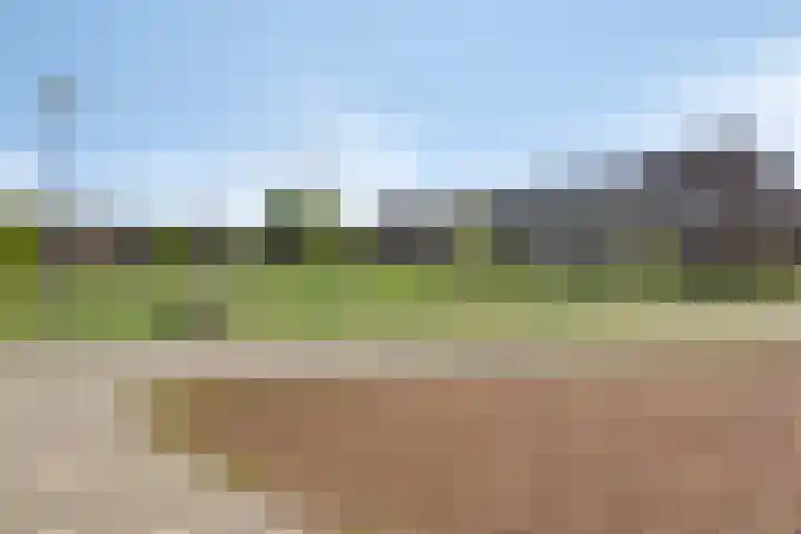 Ernst Ruskaveld 17 's-Hertogenbosch thumbnail 32
