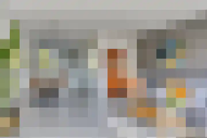 Ernst Ruskaveld 17 's-Hertogenbosch thumbnail 4