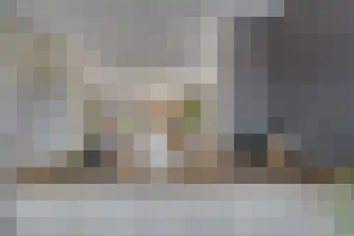 Ernst Ruskaveld 17 's-Hertogenbosch thumbnail 9