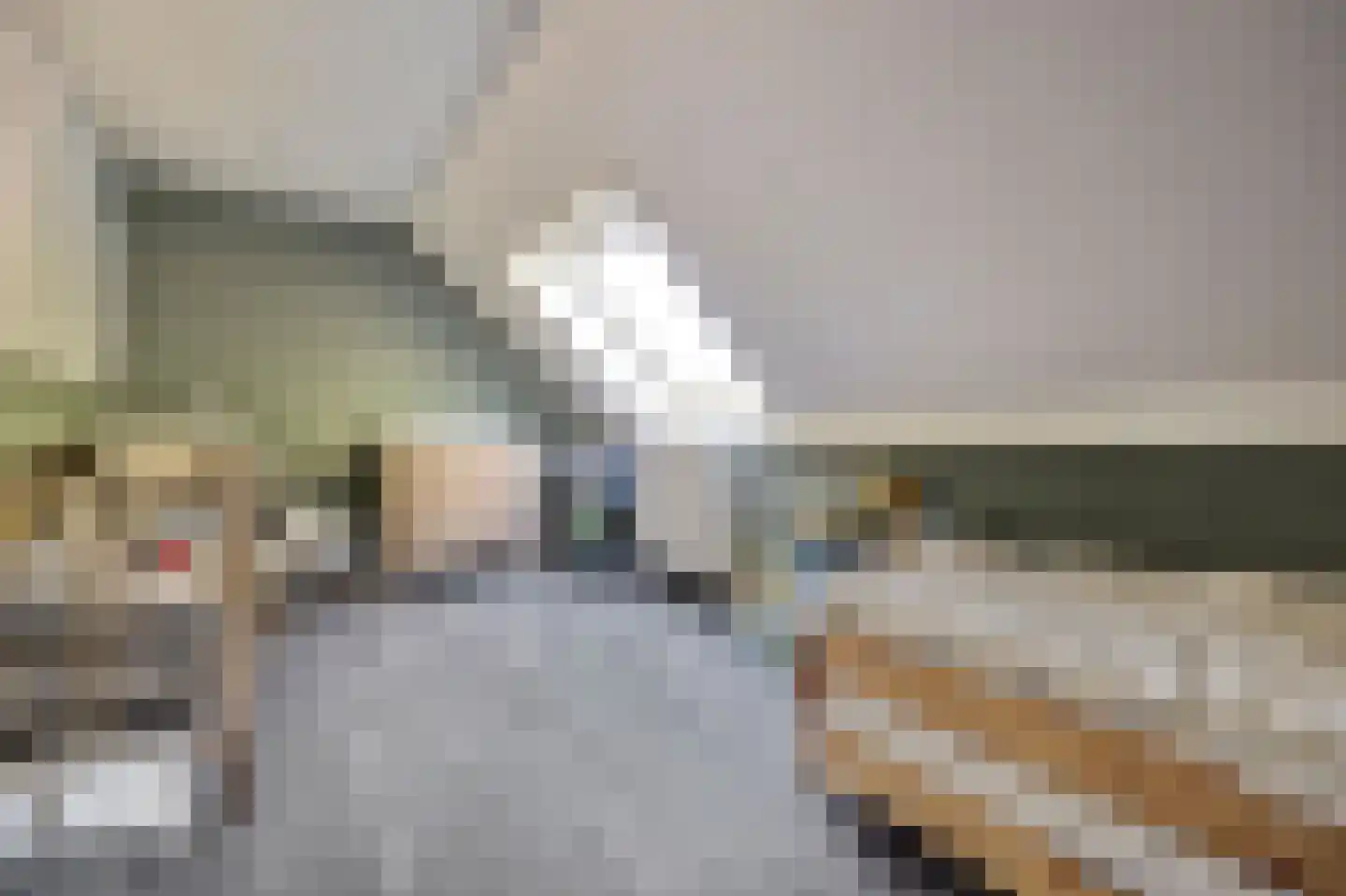Erosiekreek 5 Spijkenisse thumbnail 19