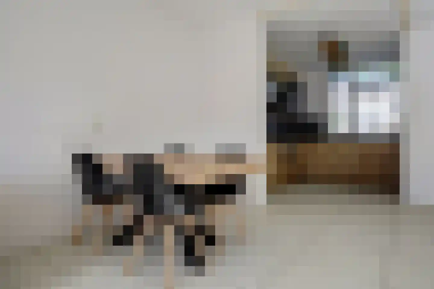 Erosiekreek 5 Spijkenisse thumbnail 6