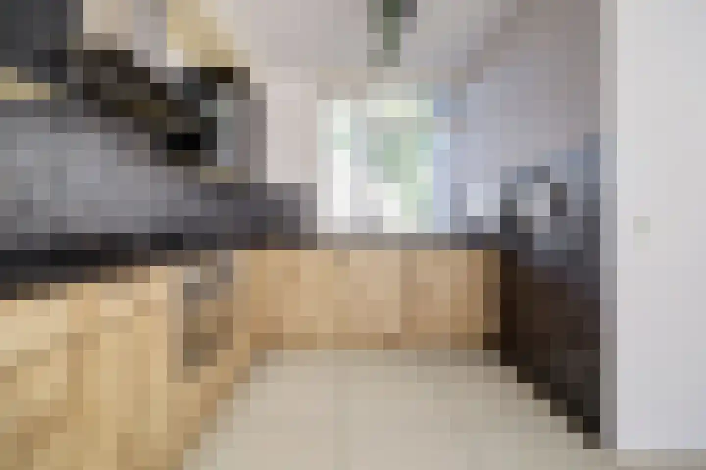 Erosiekreek 5 Spijkenisse thumbnail 7