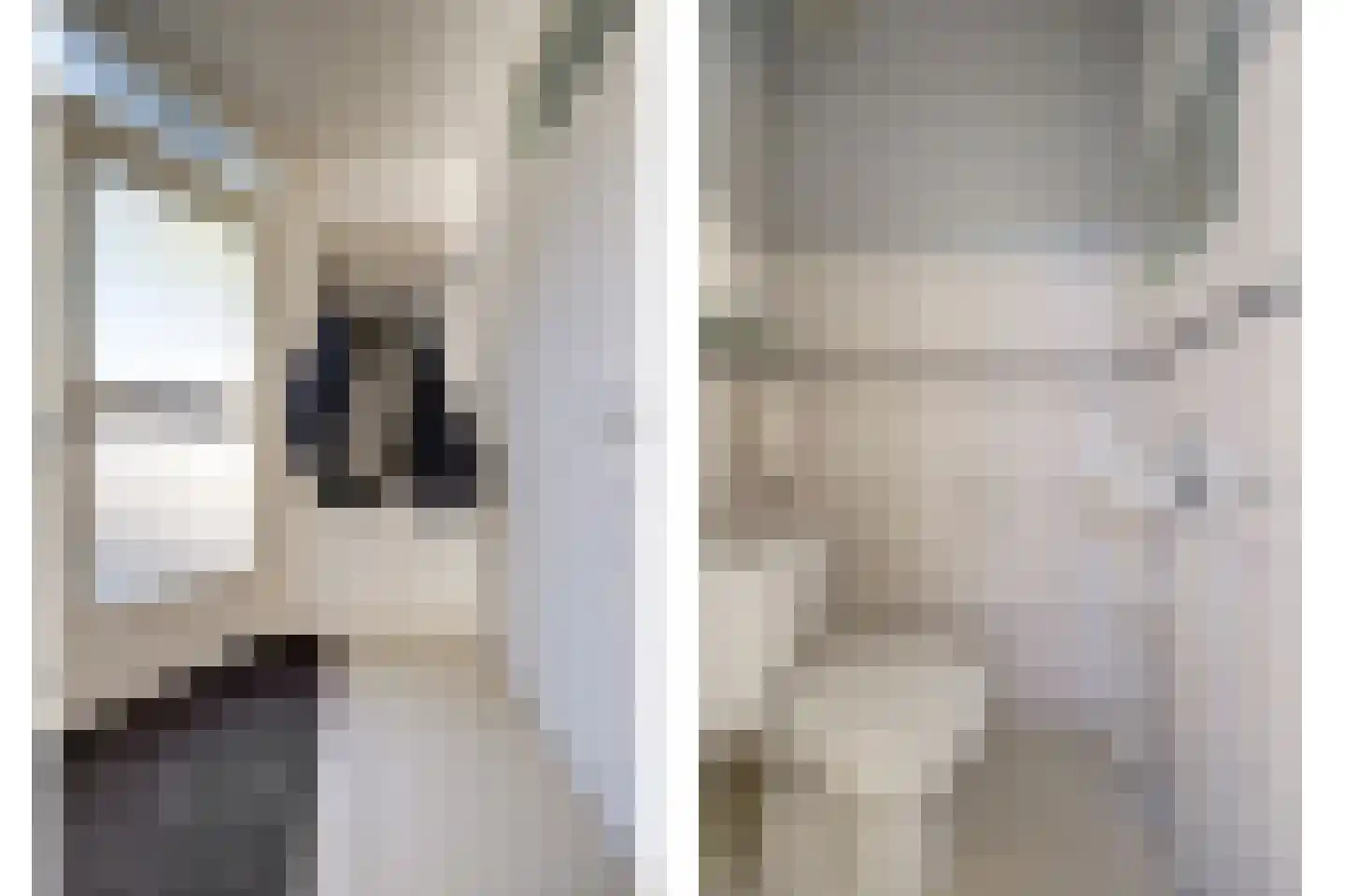 Erosiekreek 5 Spijkenisse thumbnail 9
