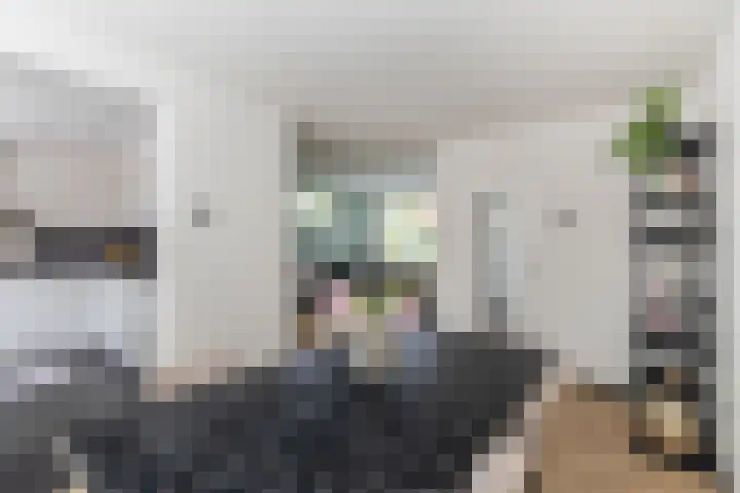 Eroslaan 2 Heerhugowaard thumbnail 10
