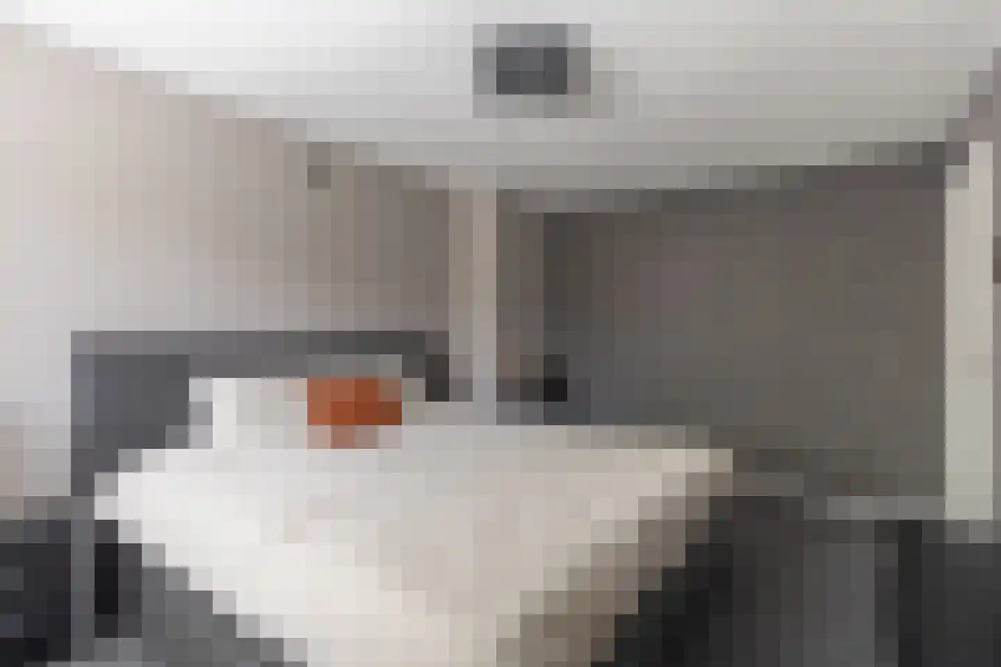 Eroslaan 2 Heerhugowaard thumbnail 24