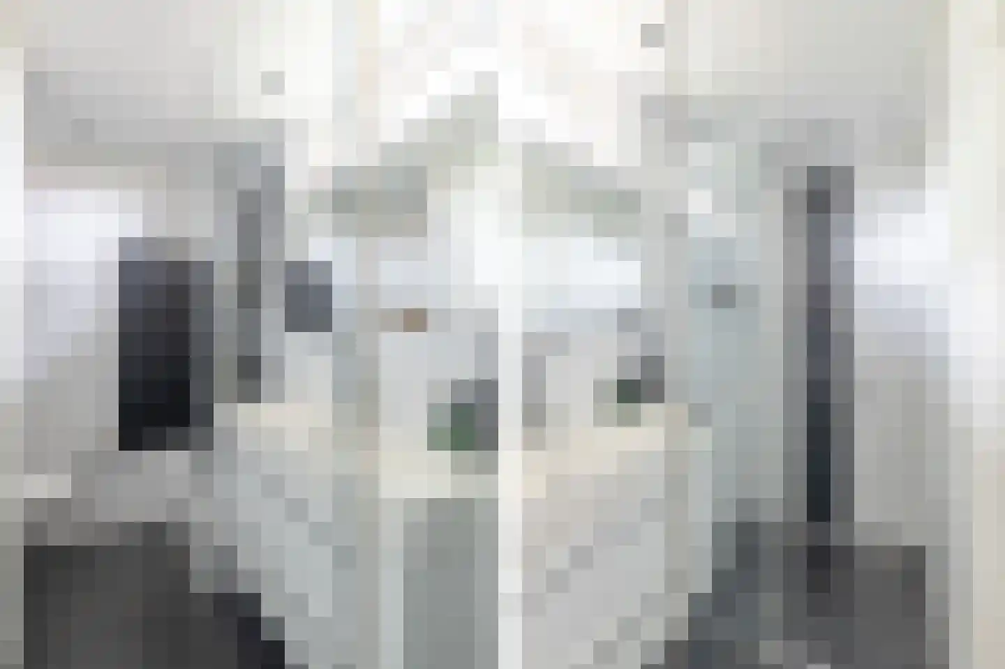 Eroslaan 2 Heerhugowaard thumbnail 31