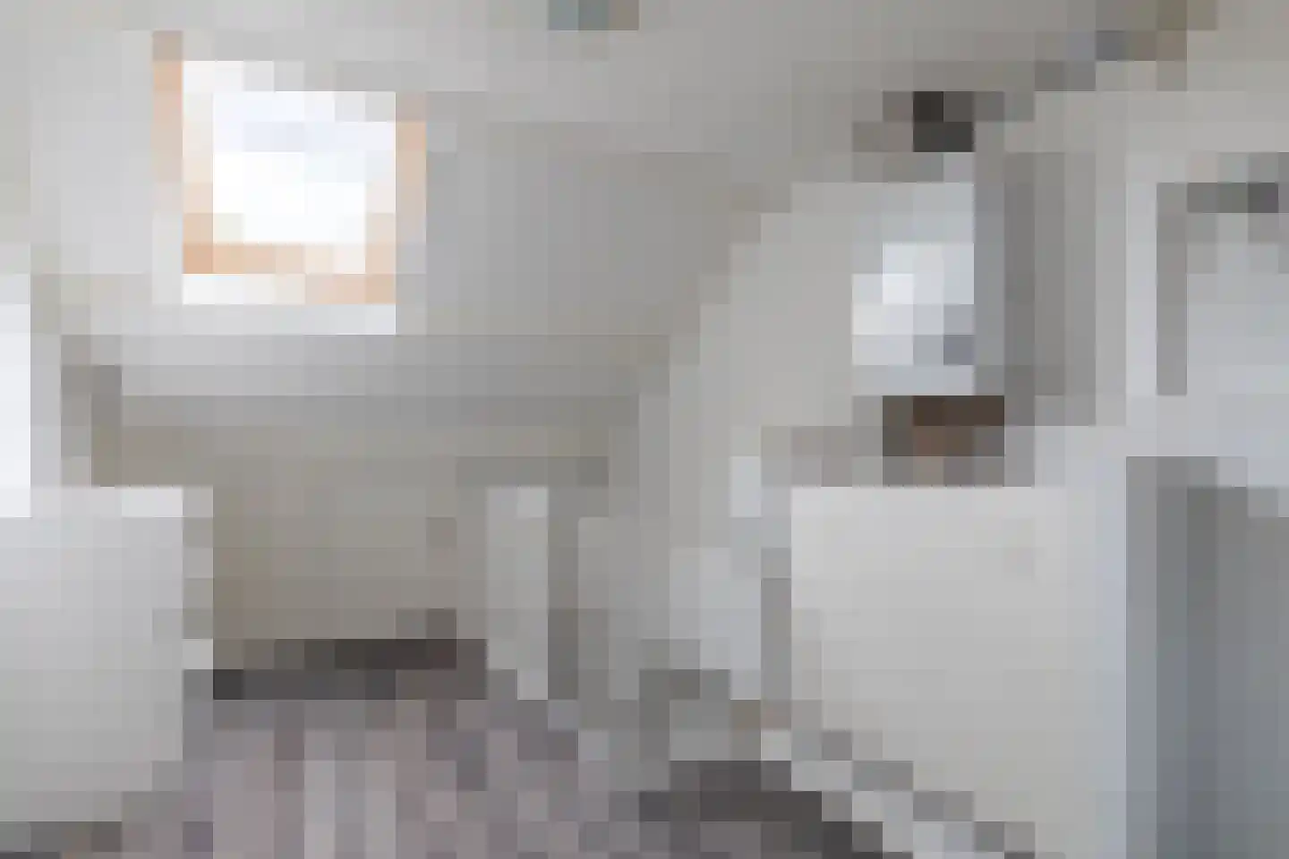 Eroslaan 2 Heerhugowaard thumbnail 32