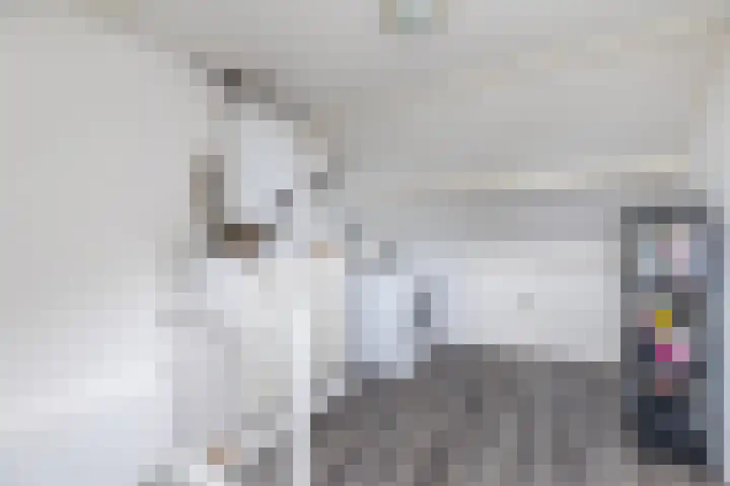 Eroslaan 2 Heerhugowaard thumbnail 34