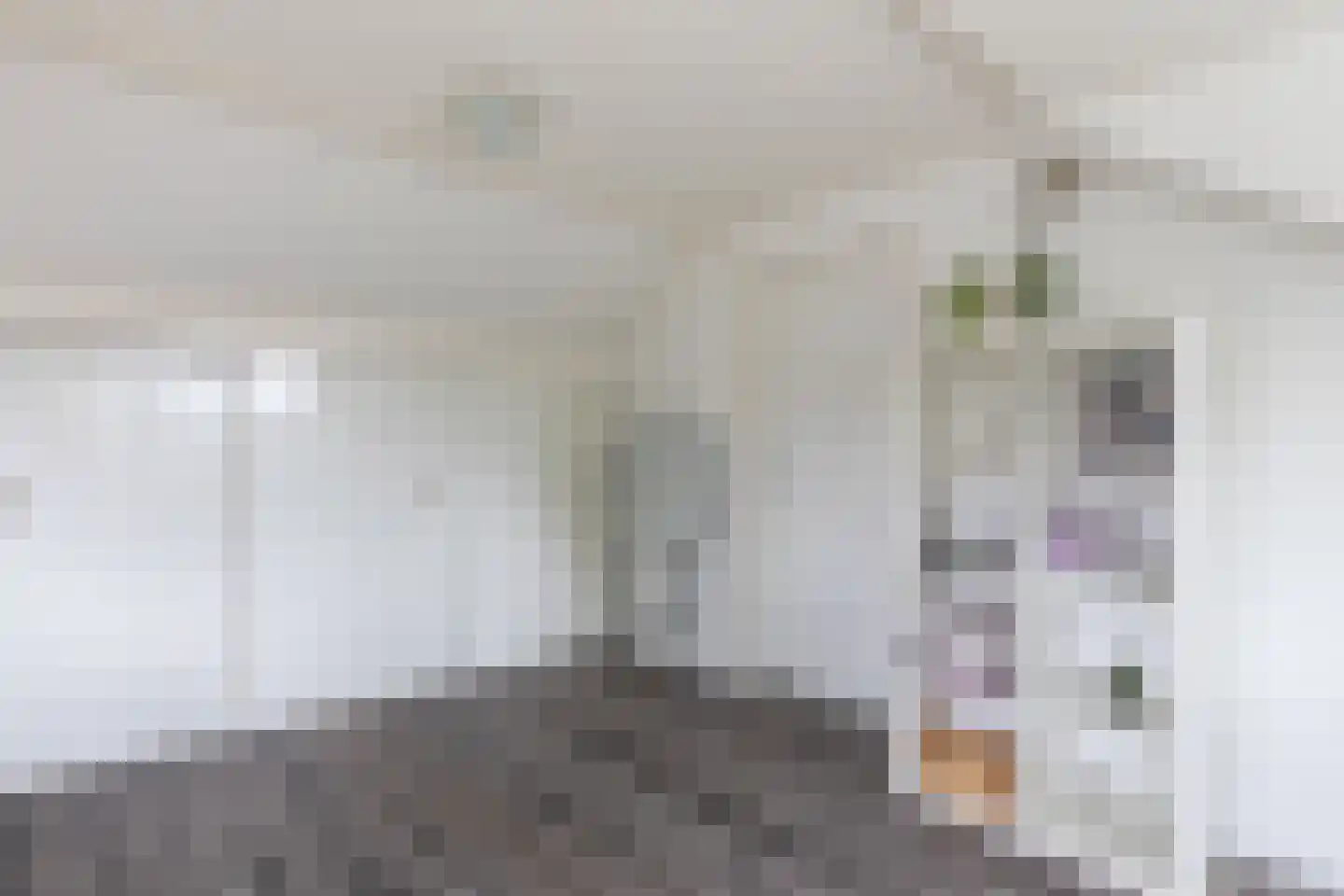 Eroslaan 2 Heerhugowaard thumbnail 37