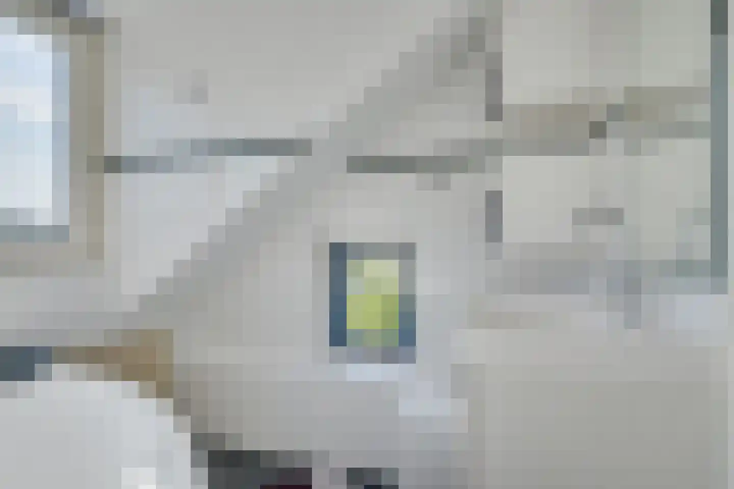 Eroslaan 38 Heerhugowaard thumbnail 35