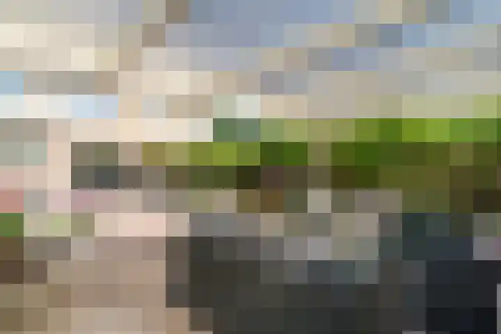 Eroslaan 44 Heerhugowaard thumbnail 44