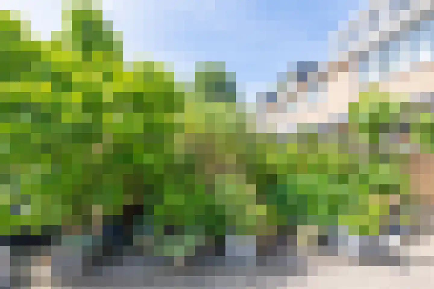 Eroslaan 8 Heerhugowaard thumbnail 39