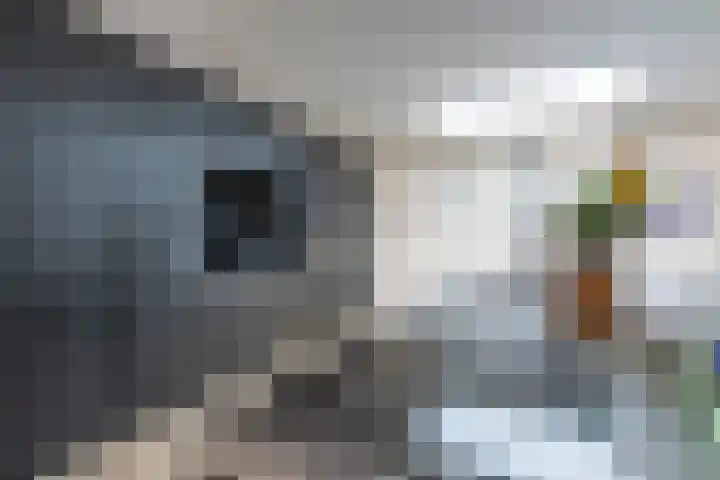Erpostraat 7 Kerkrade thumbnail 10