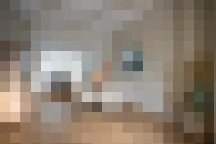 Erpostraat 7 Kerkrade thumbnail 6