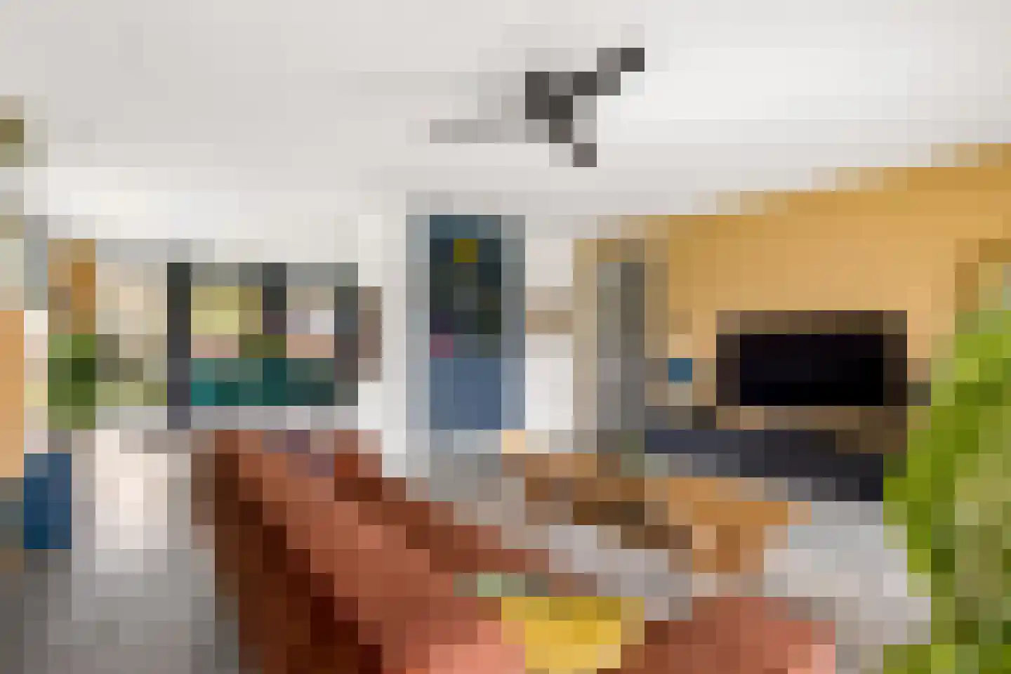 Erpseweg 1 F Veghel thumbnail 14