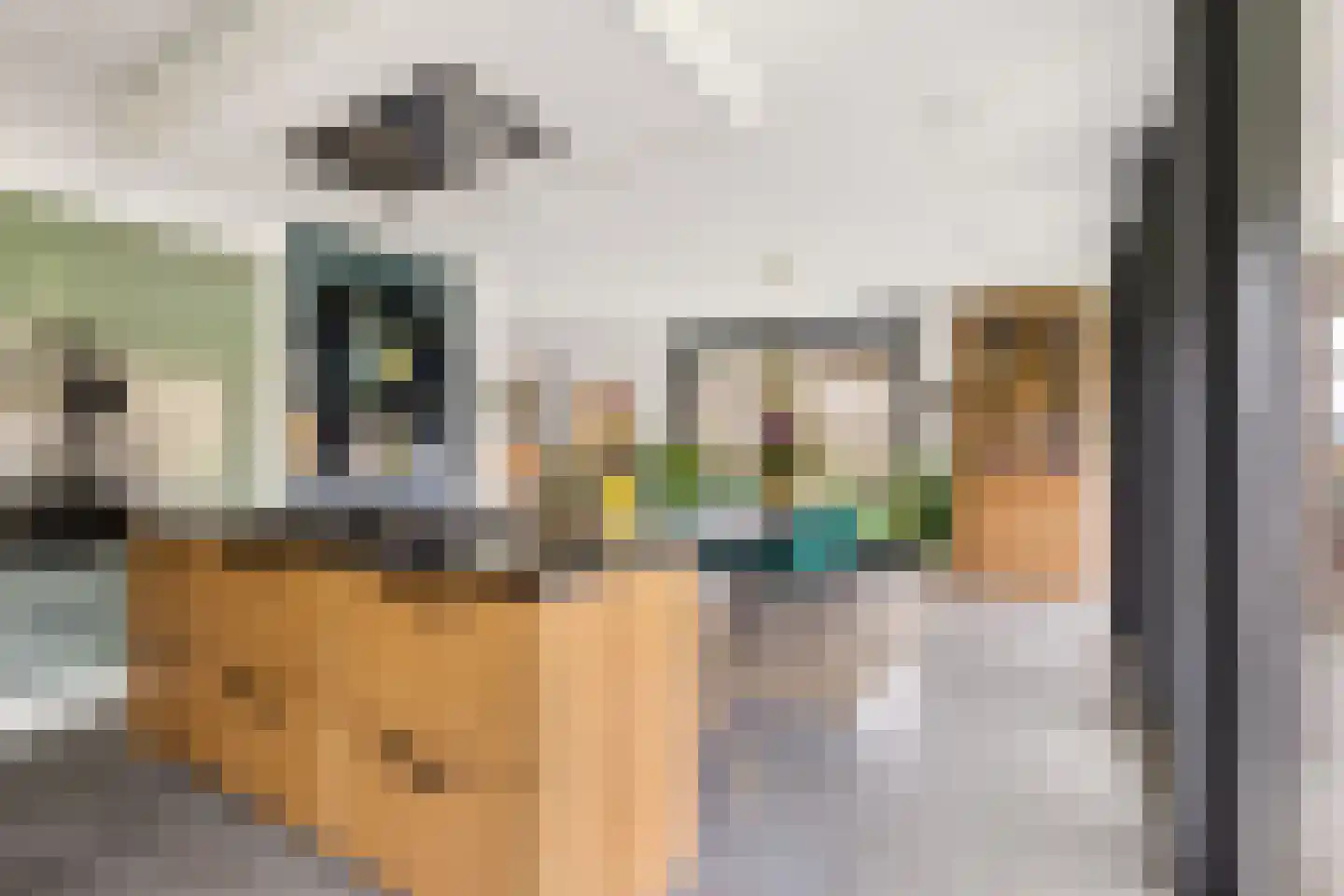 Erpseweg 1 F Veghel thumbnail 24
