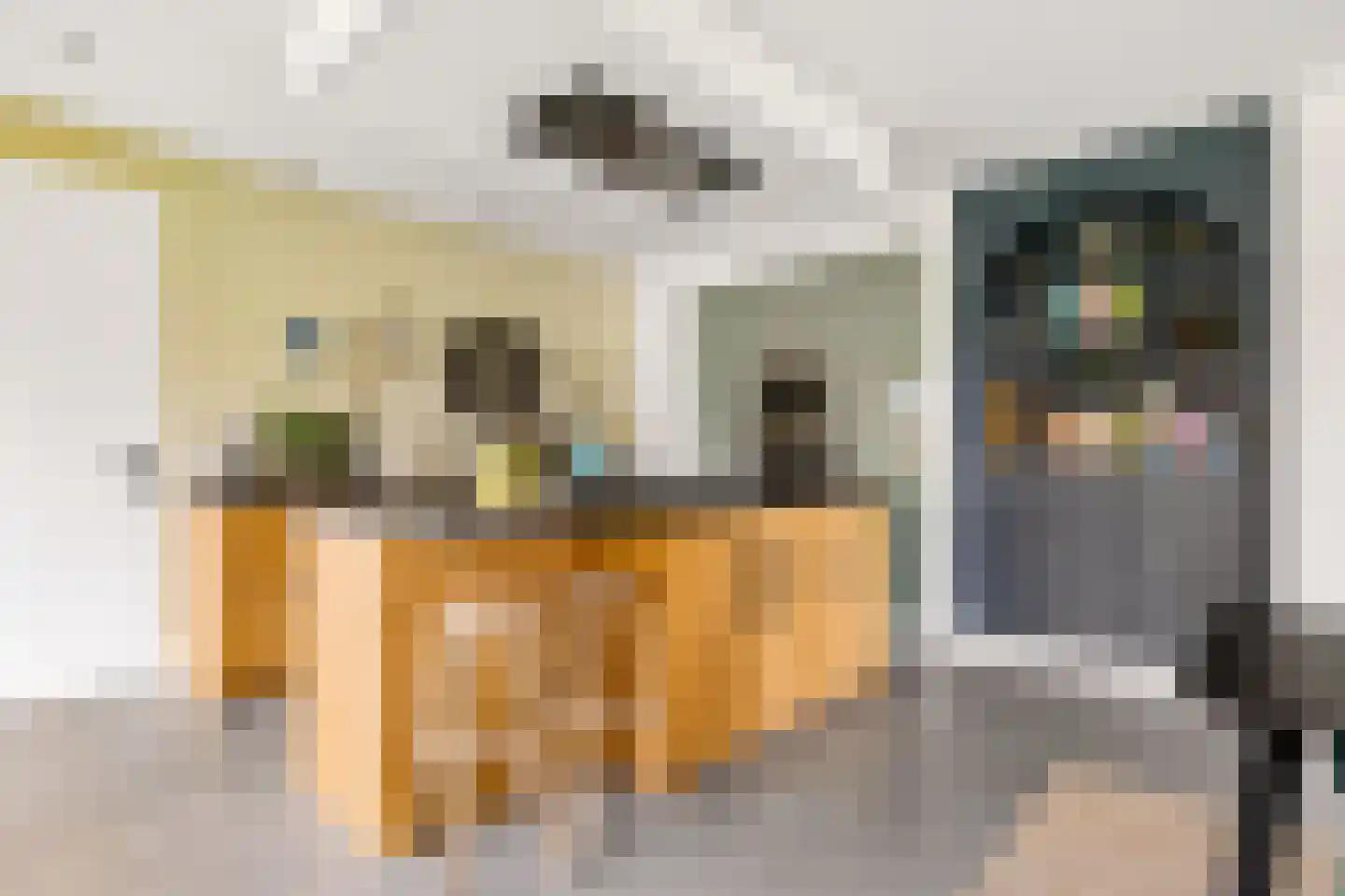 Erpseweg 1 F Veghel thumbnail 25