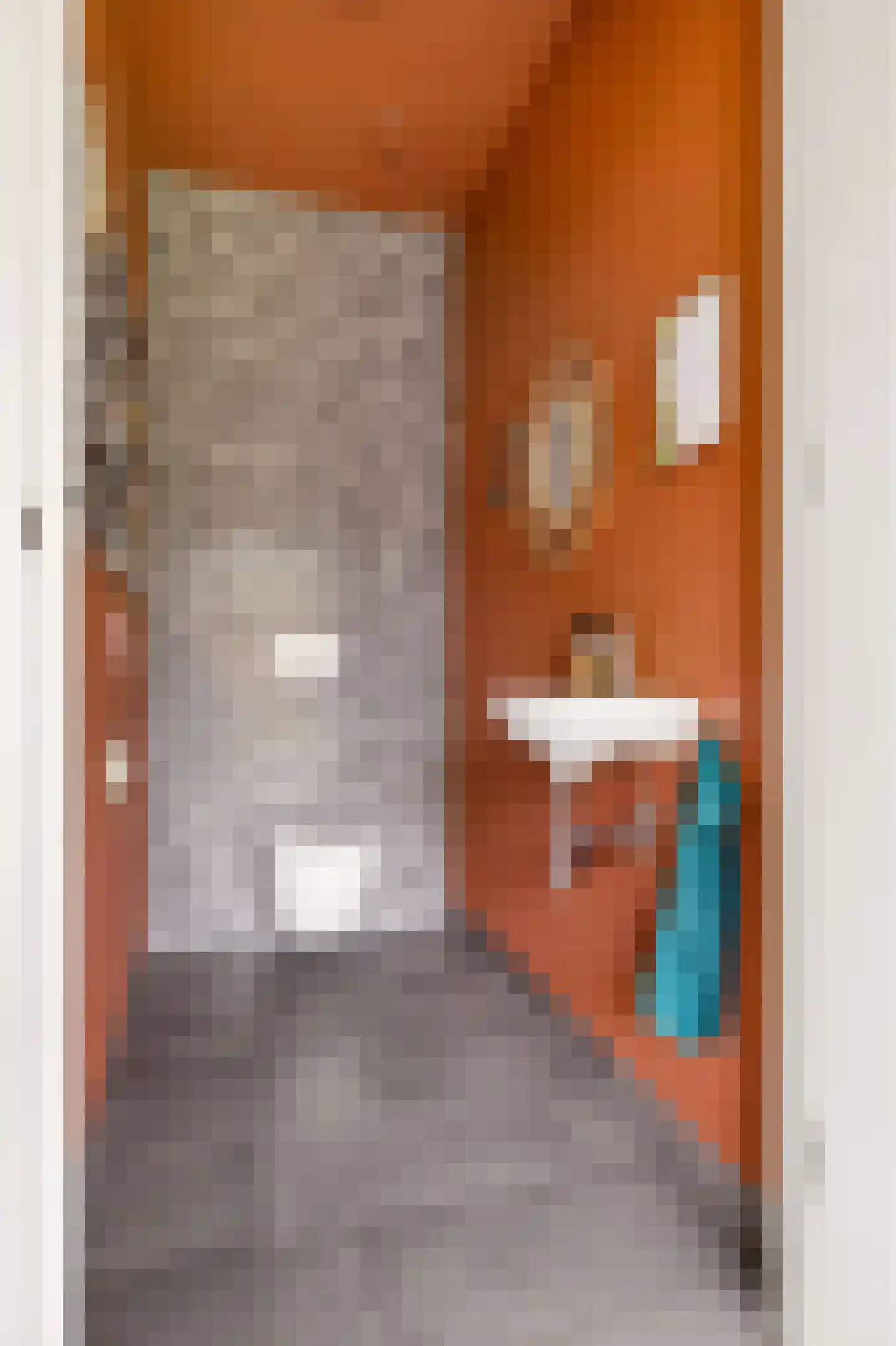 Erpseweg 1 F Veghel thumbnail 34
