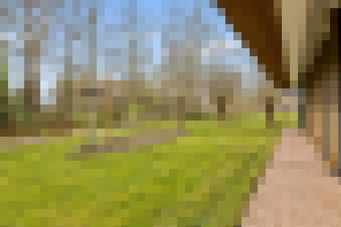 Erpseweg 1 F Veghel thumbnail 57