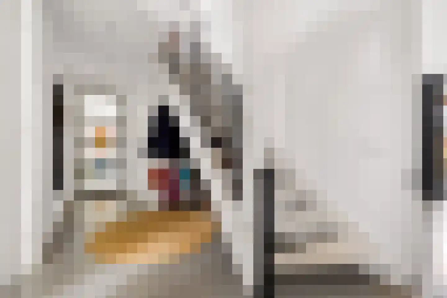 Erpseweg 1 F Veghel thumbnail 9